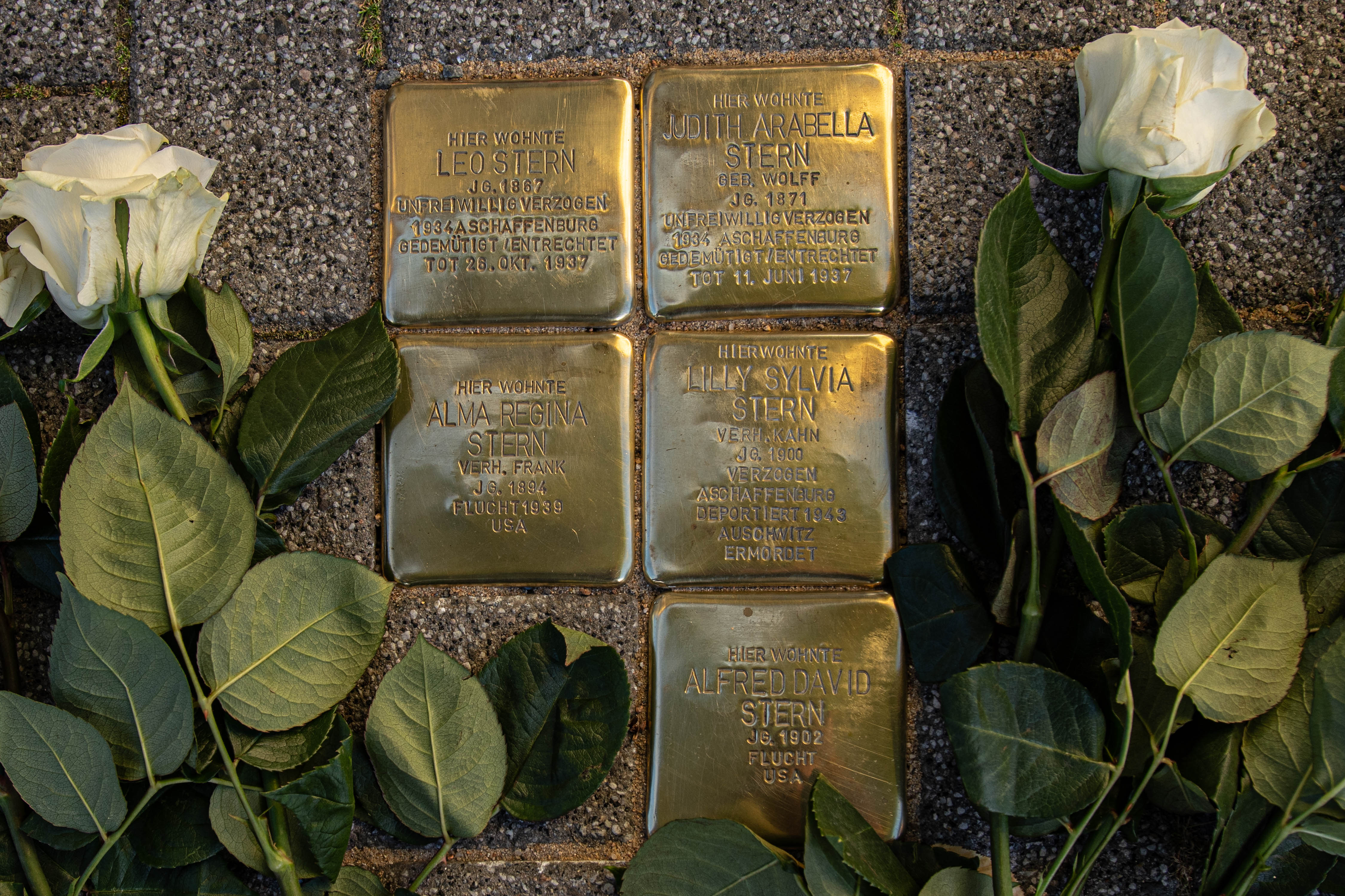 Stolpersteine 2023 1480