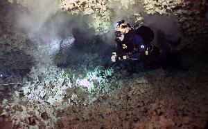 Cenote diving 3 1000 c BjoernVonReumont