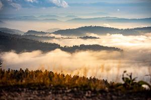2024 10 17 Naturpark Fotowettbewerb Herbstimmung im Naturpark 2