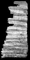 4Frankfurter Silberinschrift M1zu1 Aufrollung Copyright LEIZA