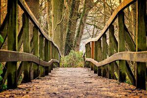 csm bridge 3024773 1280 952d42dd17