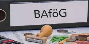 bafoegrechner