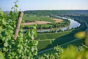 Sommer Mundelsheim Kraichgau Stromberg Tourismus e.V. 