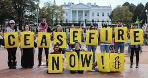 Amnesty international