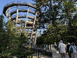 IMG 7833