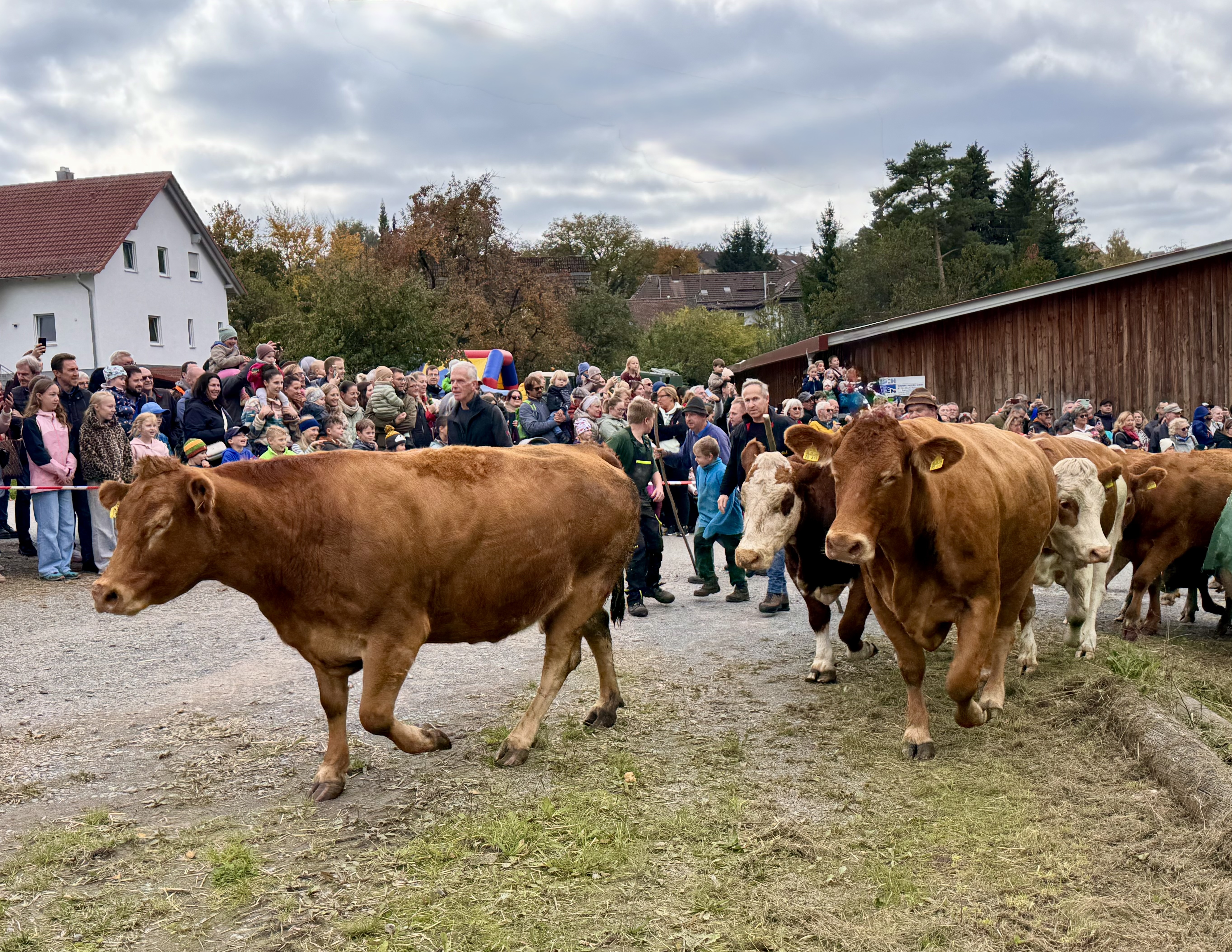 IMG 9343 Foto Zoller