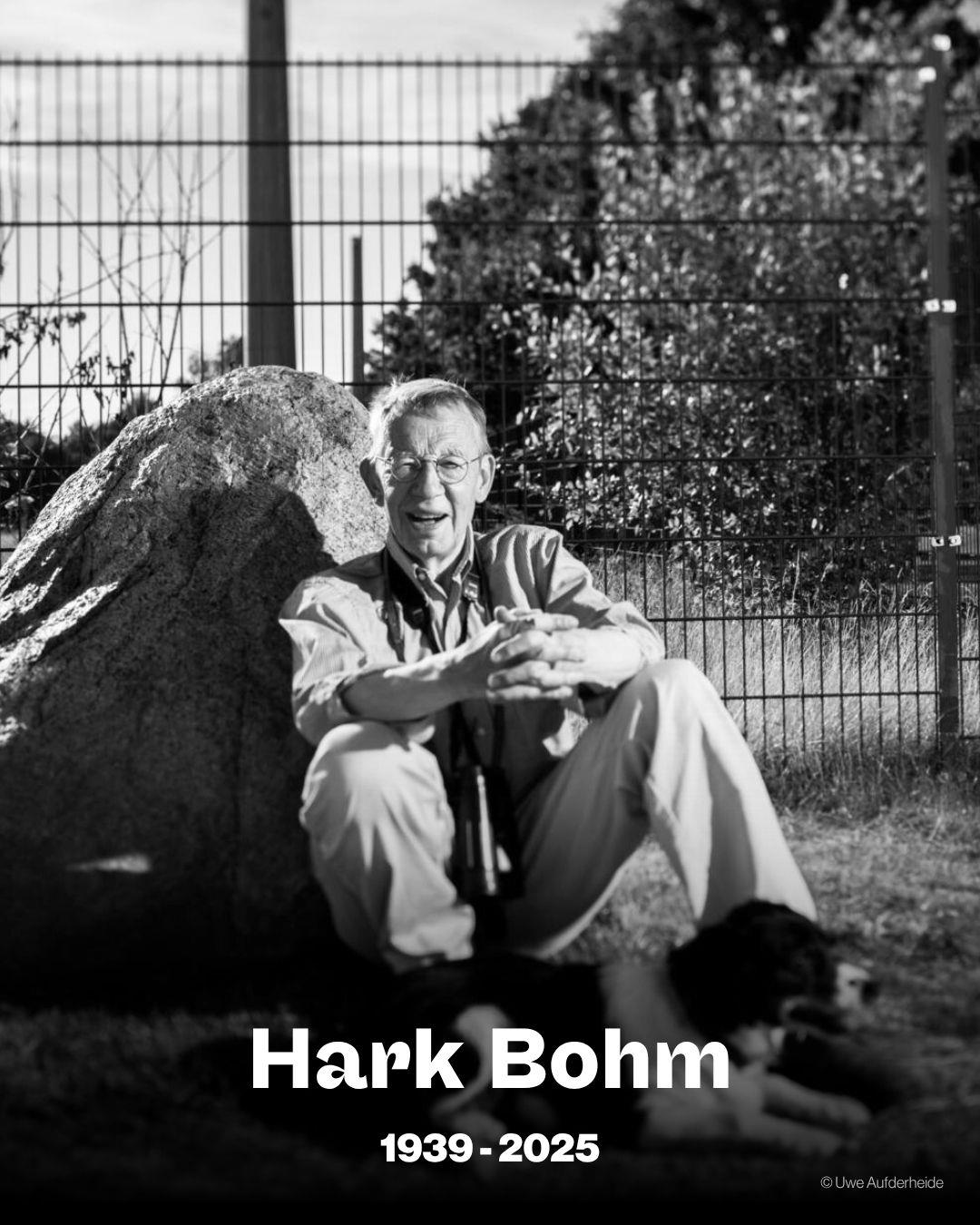 hark bohm