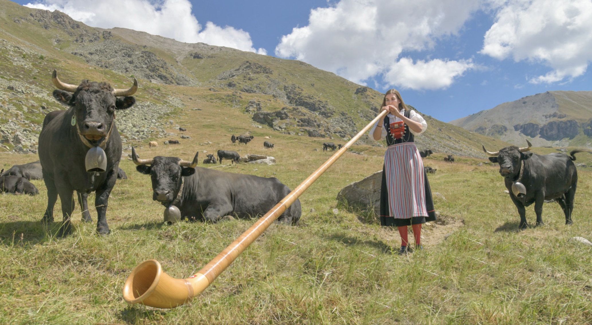 Lisa Stoll Alphorn Foto Herrmann Ostermayer