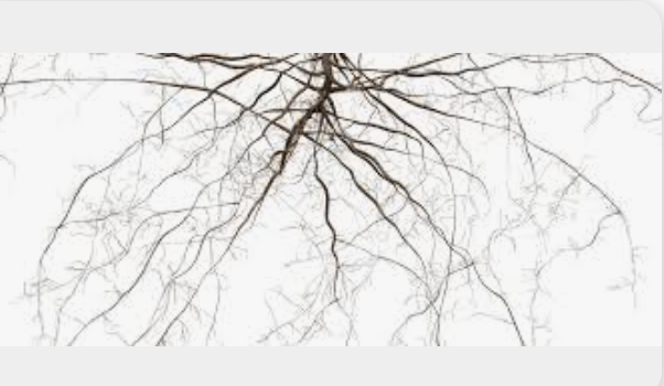 Bildschirmfoto 2025 12 24 um 00.09.31