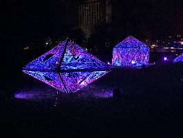 IMG 0231