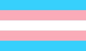 csm trans 1792756 1280 4138f8d5be