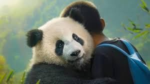 moon pan
