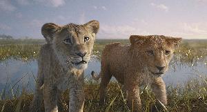 Mufasa BD2