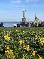 Konstanz Stadtgarten Bodensee Imperia Bluete 02 Copyright MTK Theresa Arndt