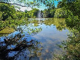 Martin Luther King Weiher Manfred Sattler