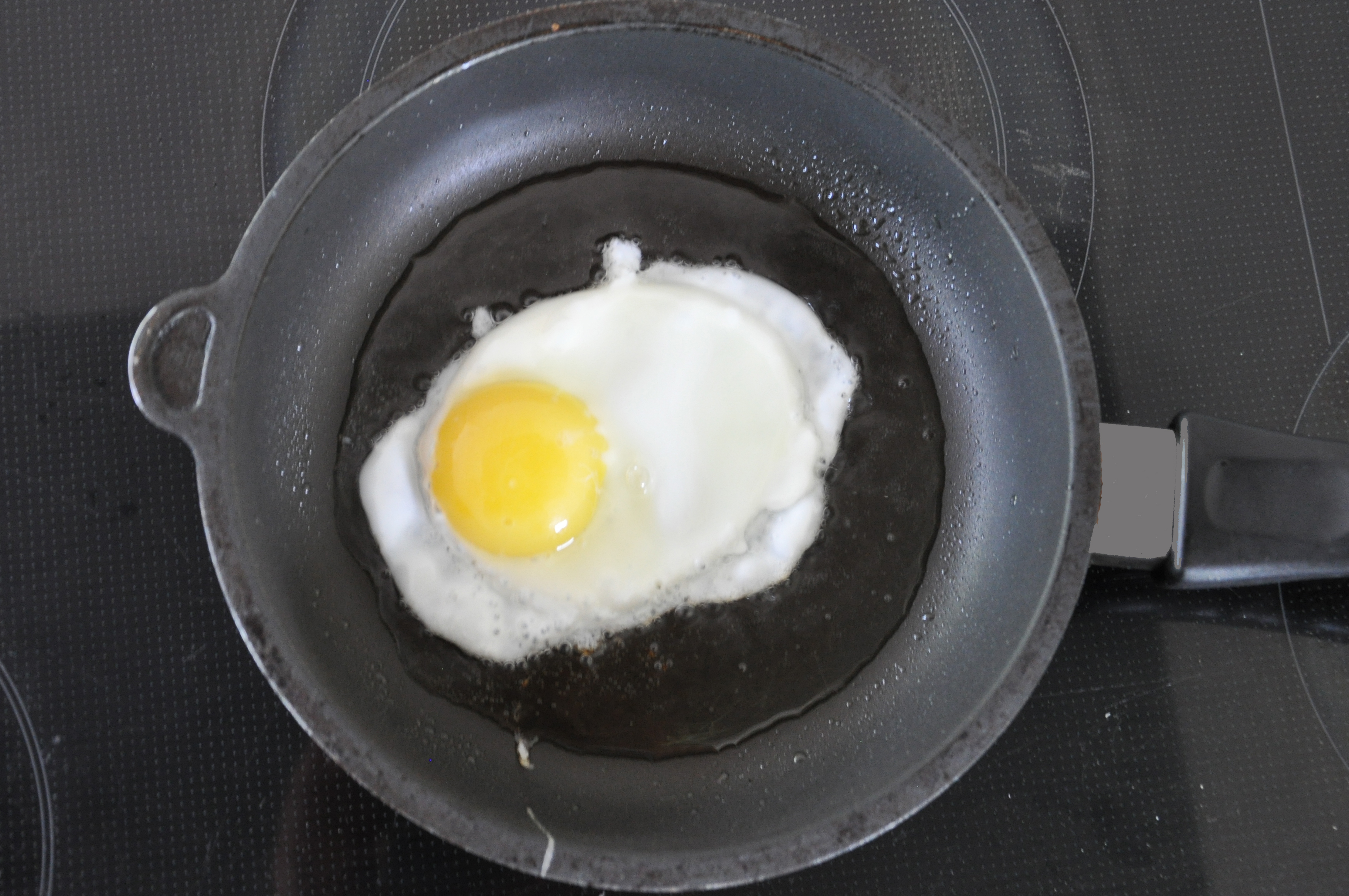 Pan FriedEgg c MarkusBernards