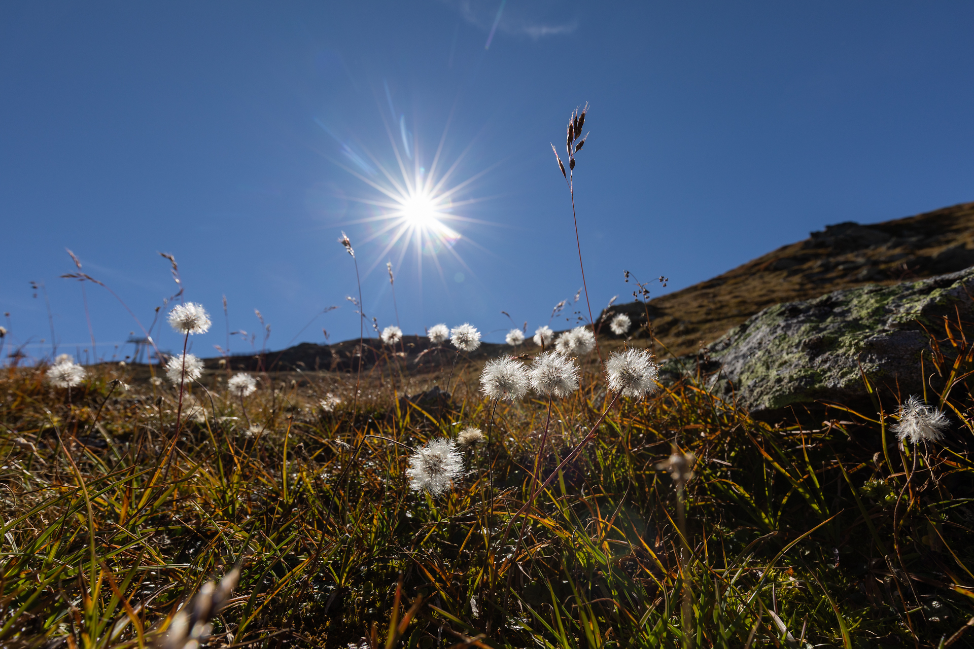 SFL Herbstlandschaft Serfaus Fiss Ladis Marketing GmbH Andreas Kirschner