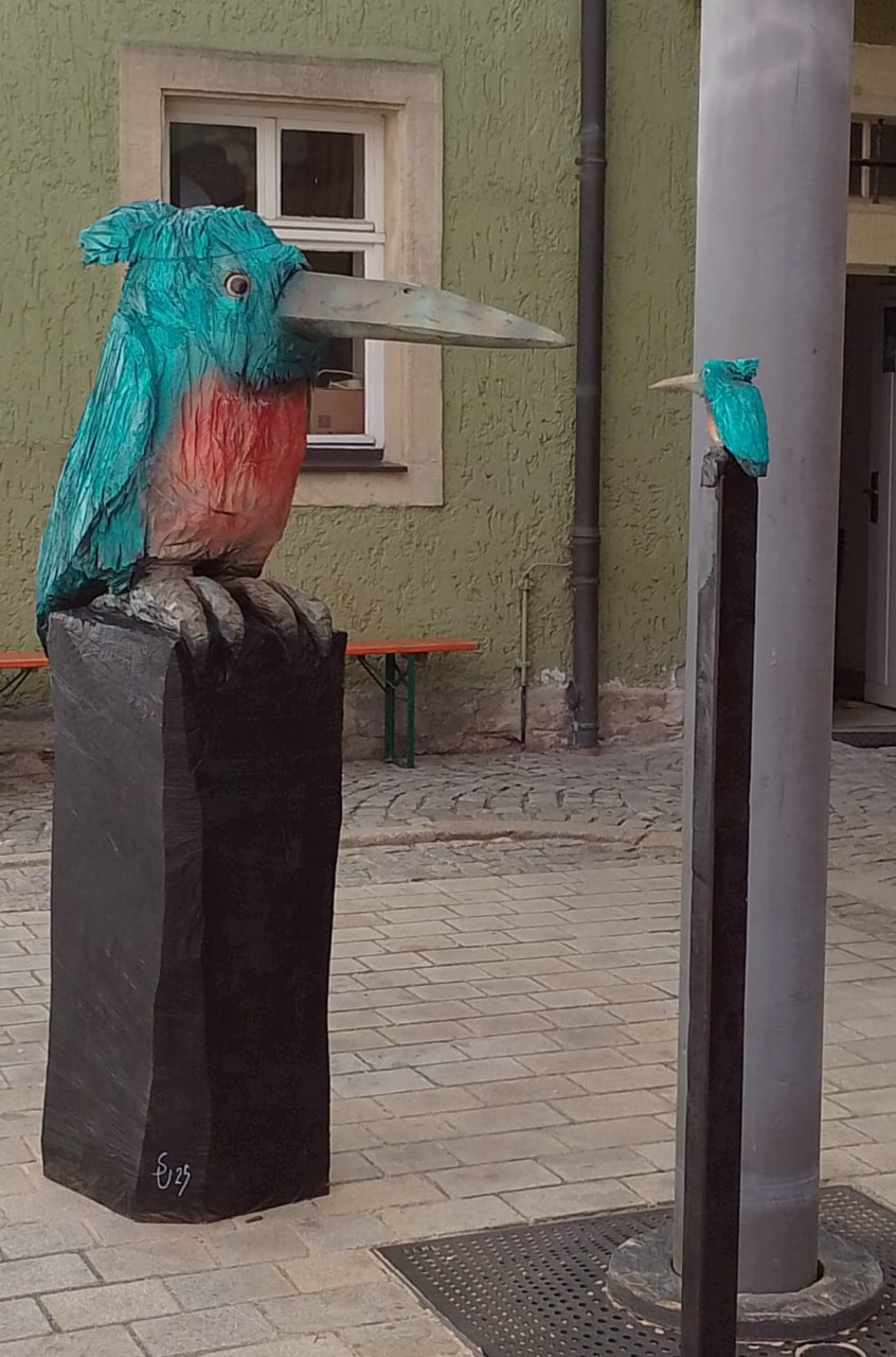 Ukat gr. Eisvogel trifft kl. Eisvogel