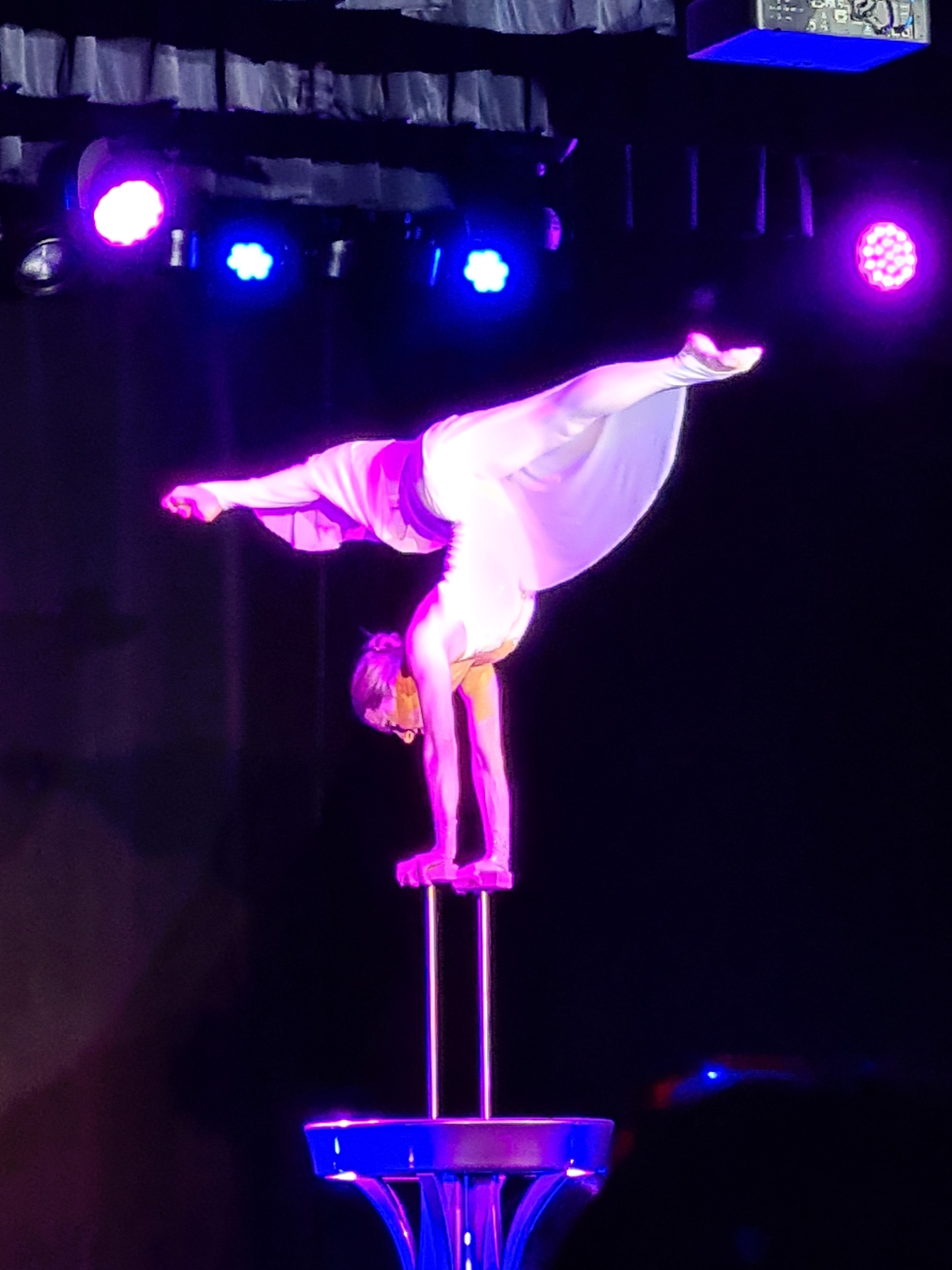 Viva Varieté c B. Altherr 1