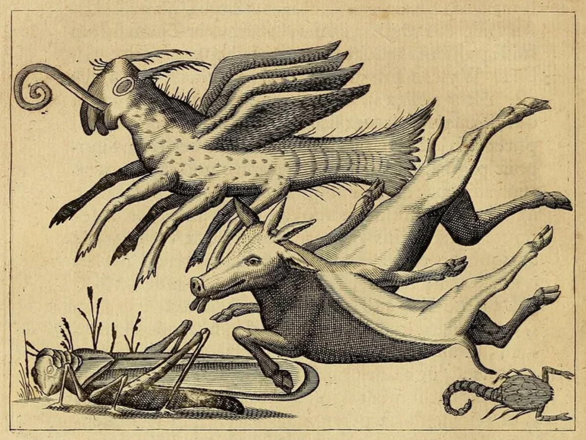 Bildschirmfoto 2026 02 01 um 20.08.05