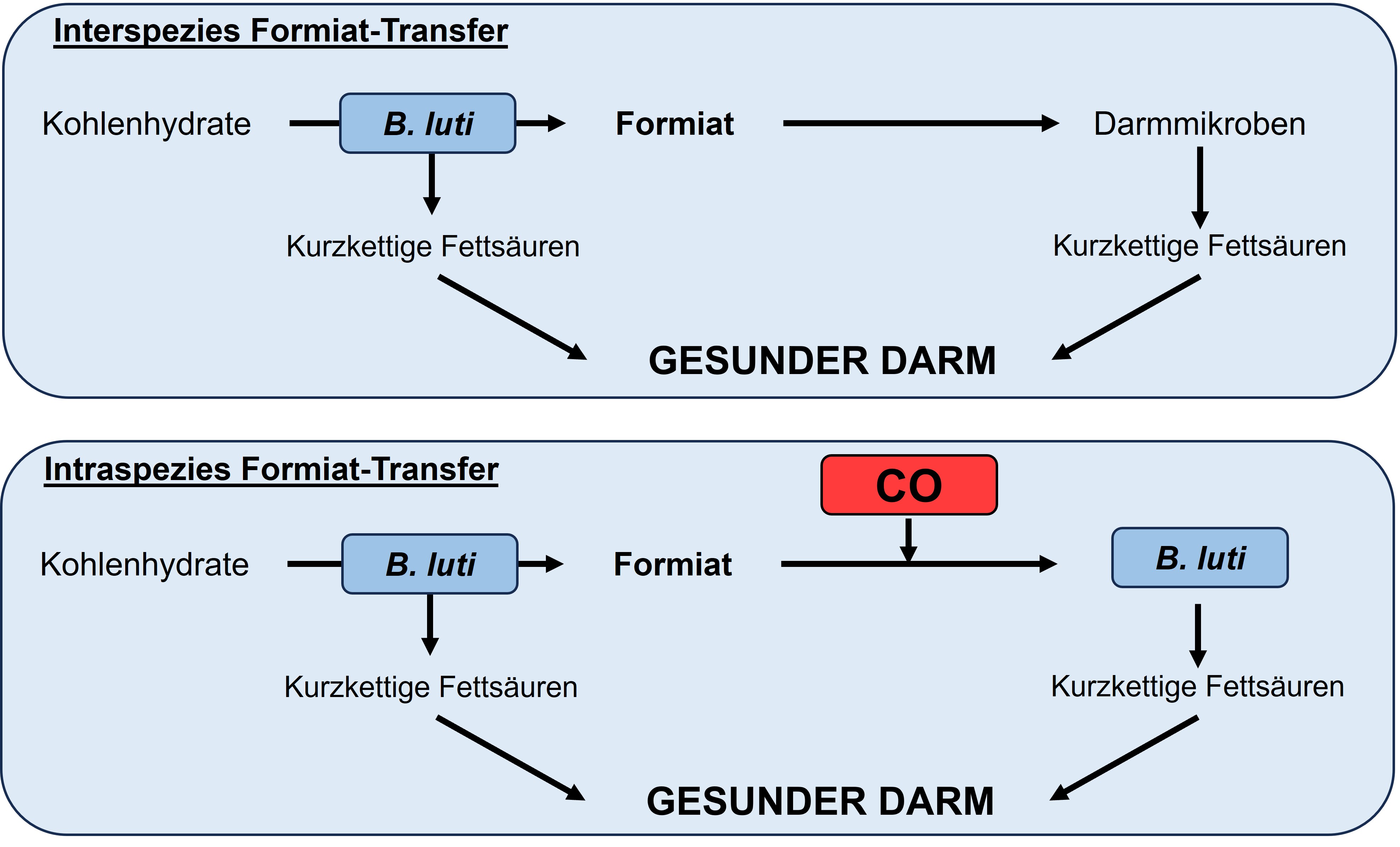 DE Fliessdiagramm Formiat Transfer