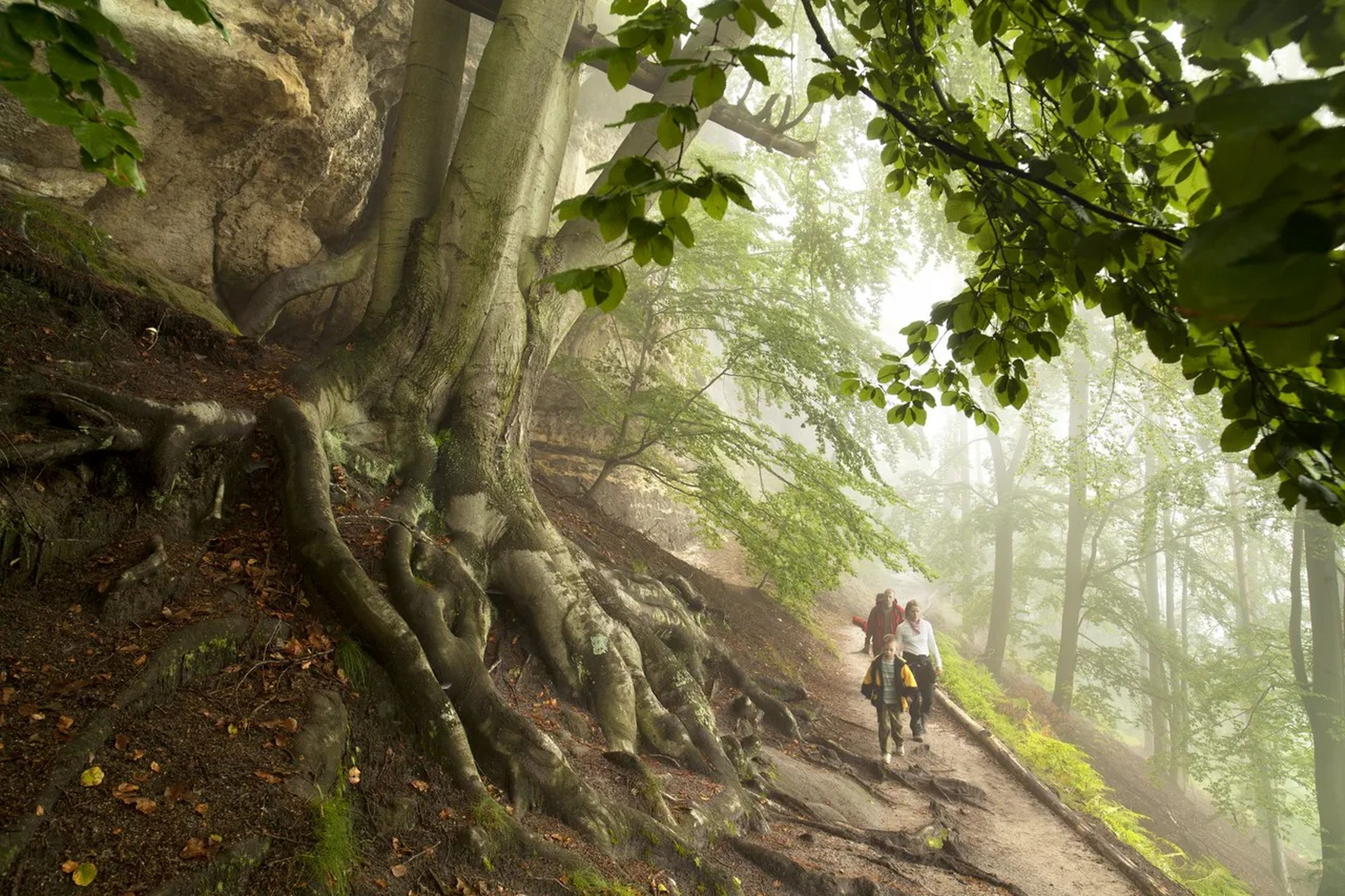 10894 Boehmische Schweiz Vaclav Sojka