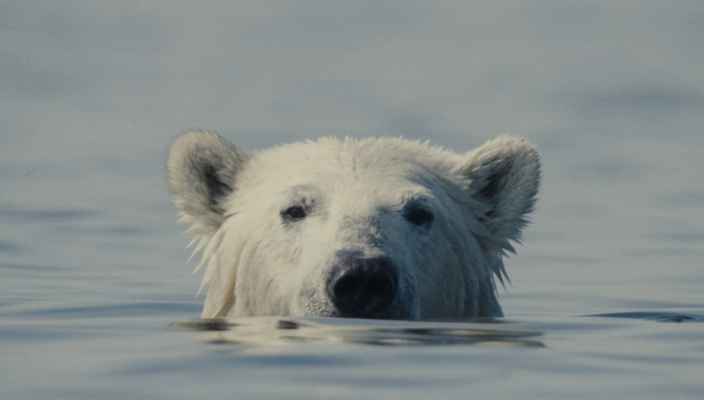 Bildschirmfoto 2026 03 10 um 07.43.53